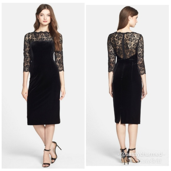 Eliza J Dresses & Skirts - NWT Eliza J Lace & Velvet Sheath Dress